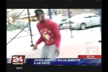 Estados Unidos: la policía arrestó a sujeto que pateó cruelmente a un gato