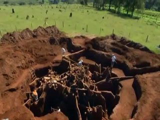 Underground City - Ants subterranean structures revealed !
