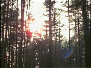 STEH AUF, ES IST KRIEG TEIL 4 : DER WIDERSTAND