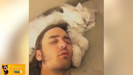 Funny Cats Compilation 2014 - HD - 720p