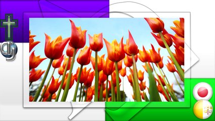 諸宗教者の平和巡礼 ～インド～