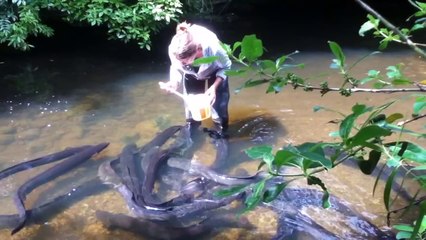 Yılan Balıklarını Besleyen Çılgın Kadın