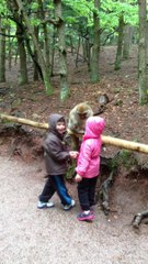 28 04 2014 - montagne des singes