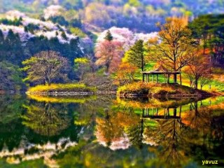 CEM KARACA-BEN BİR CEVIZ AĞACIYIM