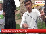 Yılanlarla Aynı Evde Yaşıyorlar