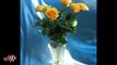 Flowers in crystal vases... ...(music Giovanni Marradi)...  ...