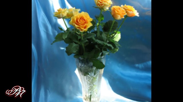 Flowers in crystal vases... ...(music Giovanni Marradi)... ...