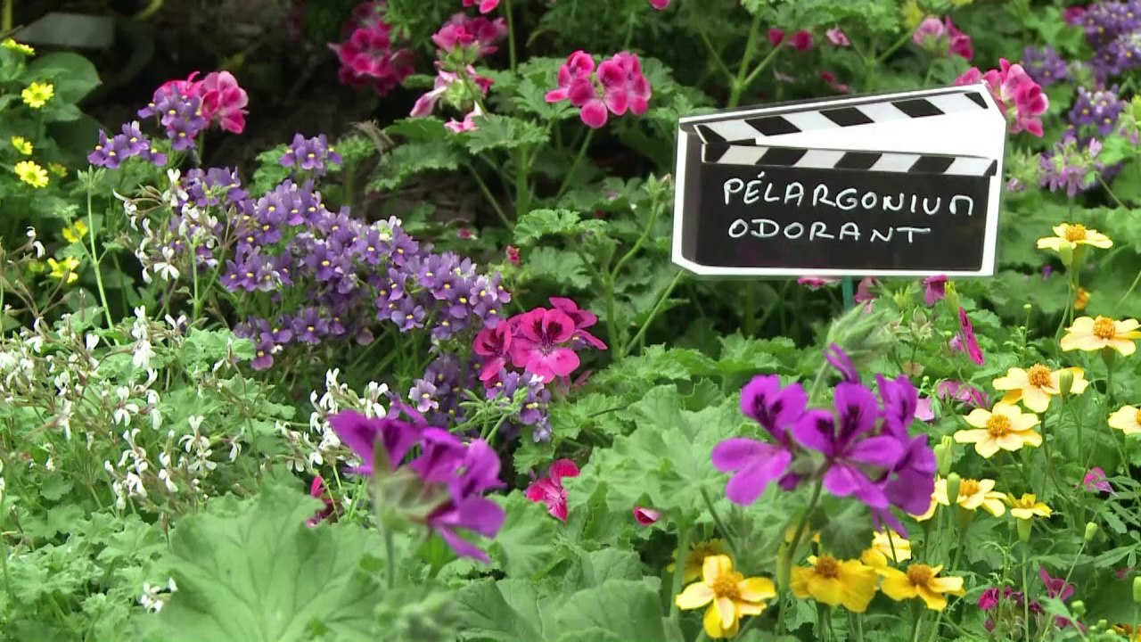 Onzième édition des Floralies Internationales à Nantes