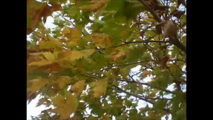 AHMET ERHAN ŞİİRLERİ/ B.HÜLYA EKMEKÇİ