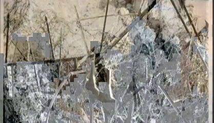 Le 1er avril 1918 — Émeute à Québec contre la conscription : résistance politique ou culturelle ?