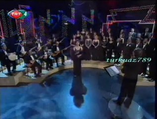 Nursaç DOĞANIŞIK-Yeşil Başlı Telli Durnam