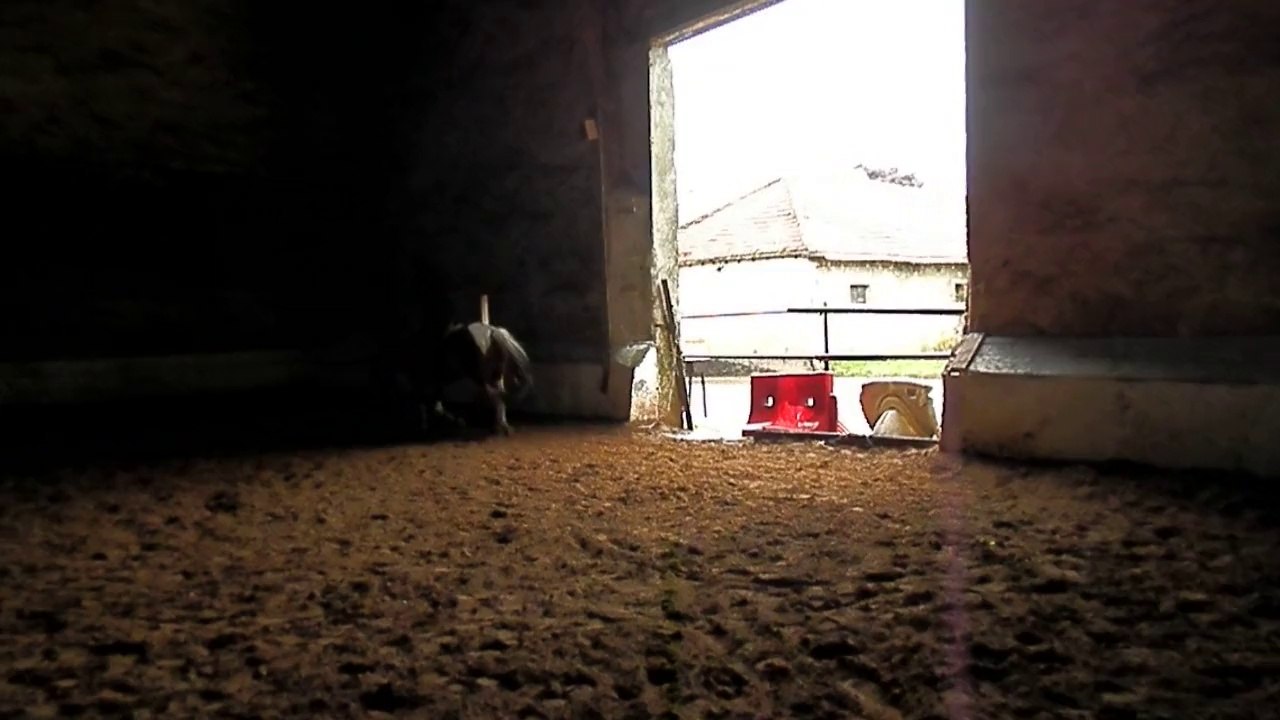 Travail en extension