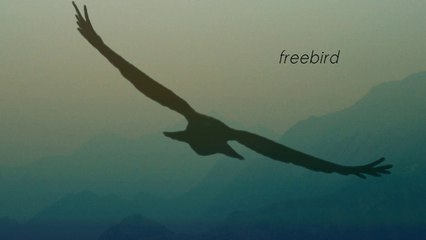 Freebird