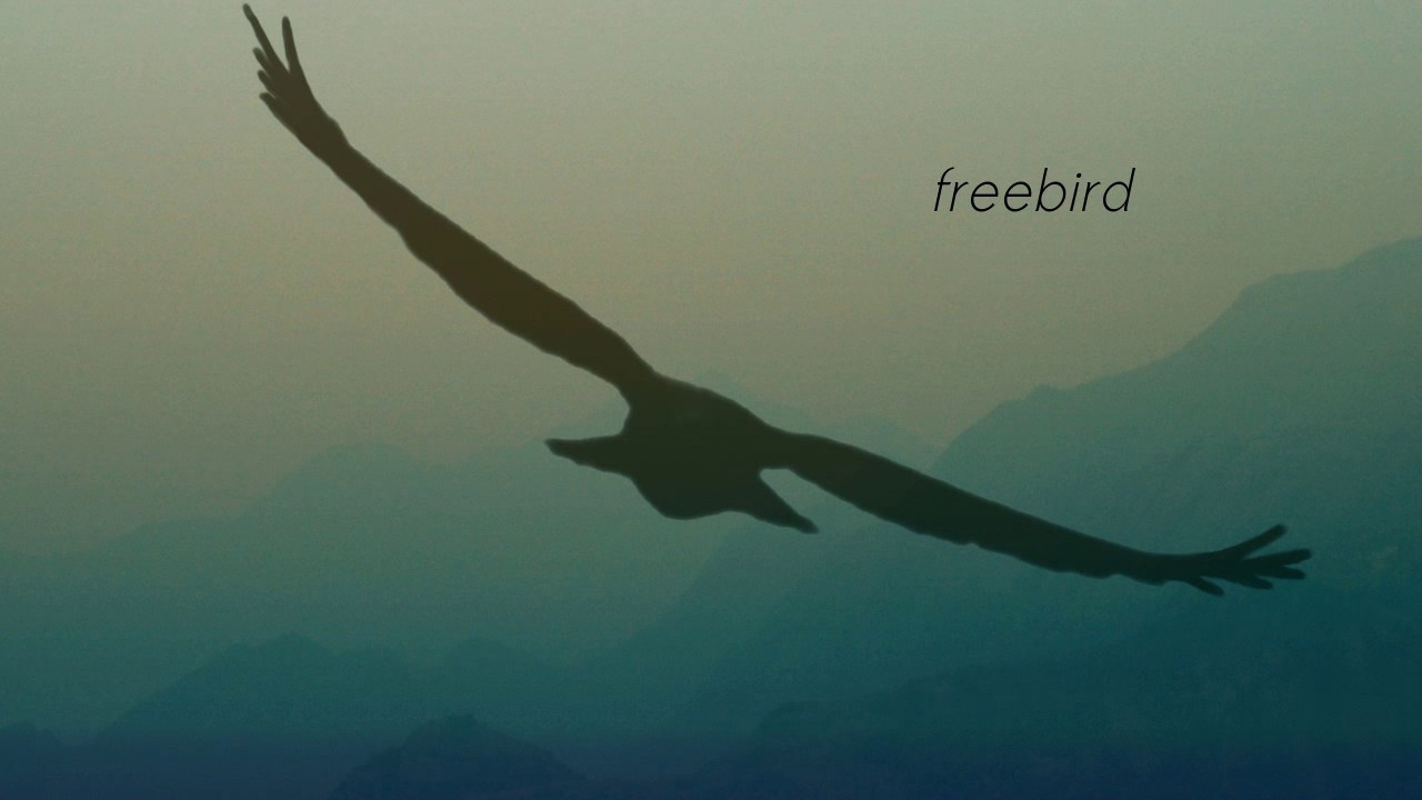 Freebird