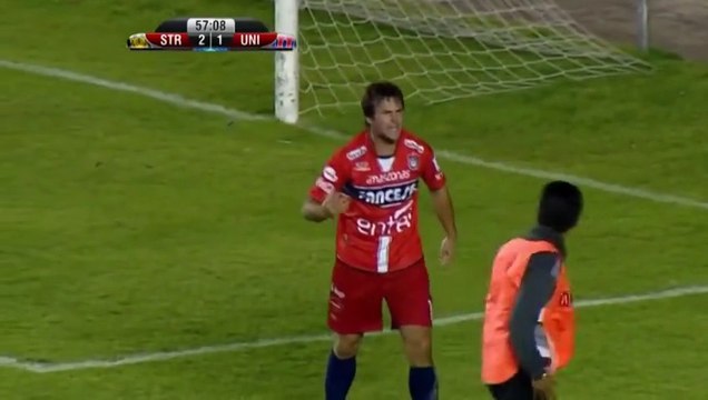 Puppies invading soccer field and ball boy saves them!