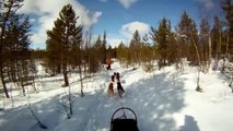 Amazing Arctic Dogsled footage filmed with GoPro!