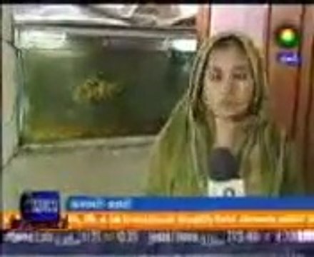 VID-20140508-WA0002.mp4