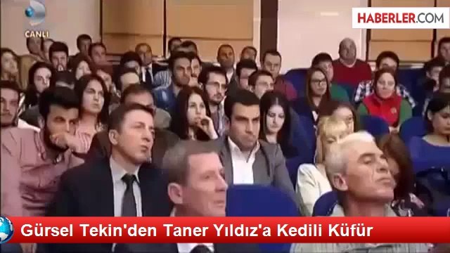 Gürsel Tekin'den Taner Yıldız'a Kedili Küfür