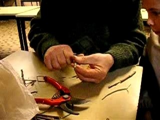 Greffe en Fente SHBL  200107