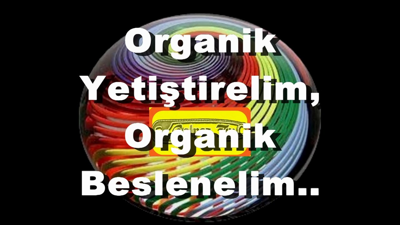 Hobi Tavukçu "Hoby Chicken" Mehmet Erem :Çakırlar-Antalya