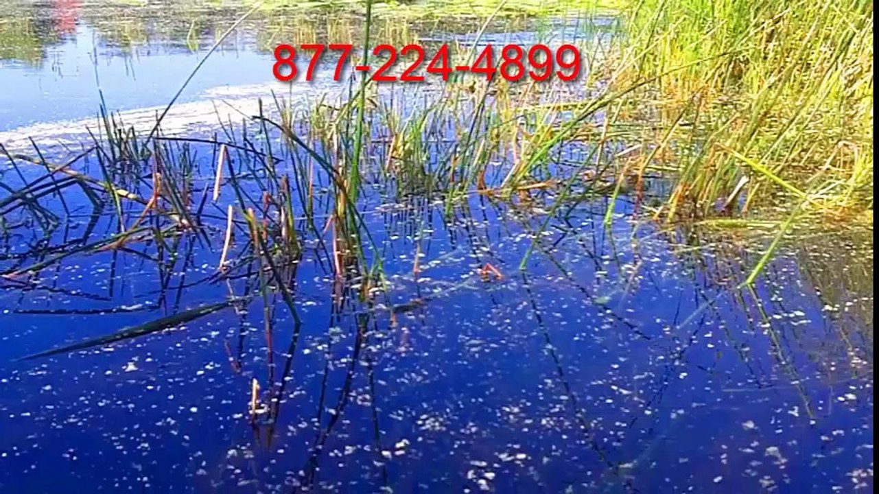 MACROZYMES kasco bacteria