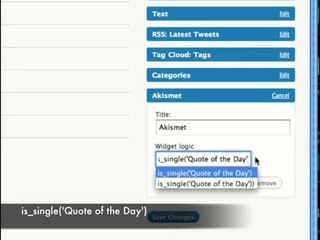 Using Widget Logic Plugin