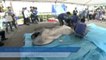 Un rare spécimen de requin grande-gueule pêché au Japon