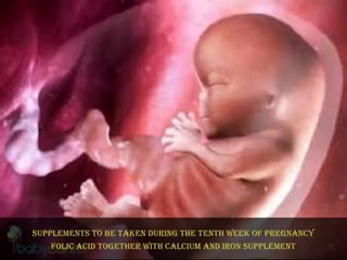 10 weeks Pregnant -fetal development