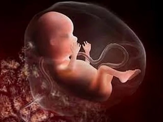 16 weeks Pregnant -fetal development