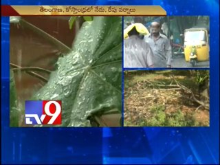 Rains lash Hyderabad, alert sounded across Telangana and AP