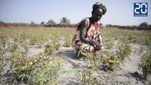 Au Sénégal, apprendre à vivre avec les changements climatiques