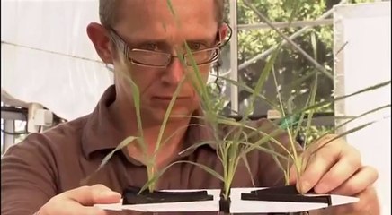 Vers une famine planétaire: L'épuisement du phosphore (Documentaire)
