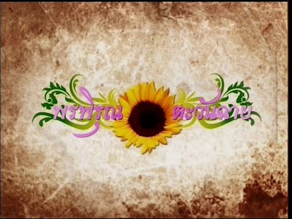 พรพิรุณตะวันฉาย  1