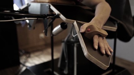 Découvrez Birdly, le simulateur d'oiseau