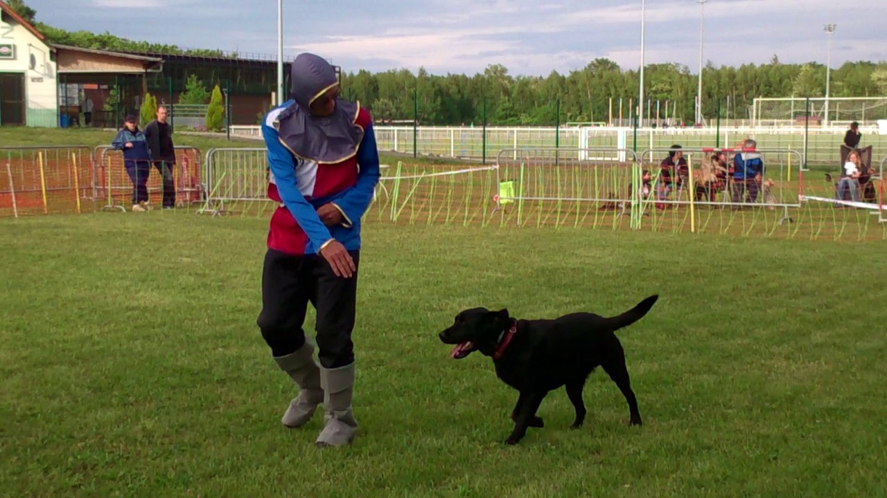 robert et hover 8 mai 2014