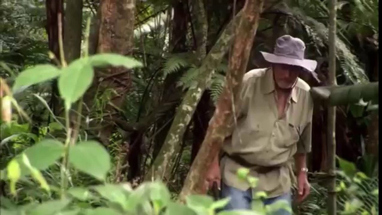 Les soldats oubliés de Carthage, (Documentaire)