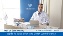 Bademcik ve Geniz eti nedir ?