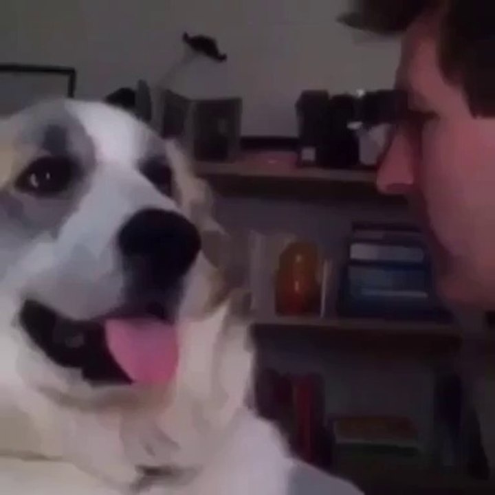 Dog slap my face!!!