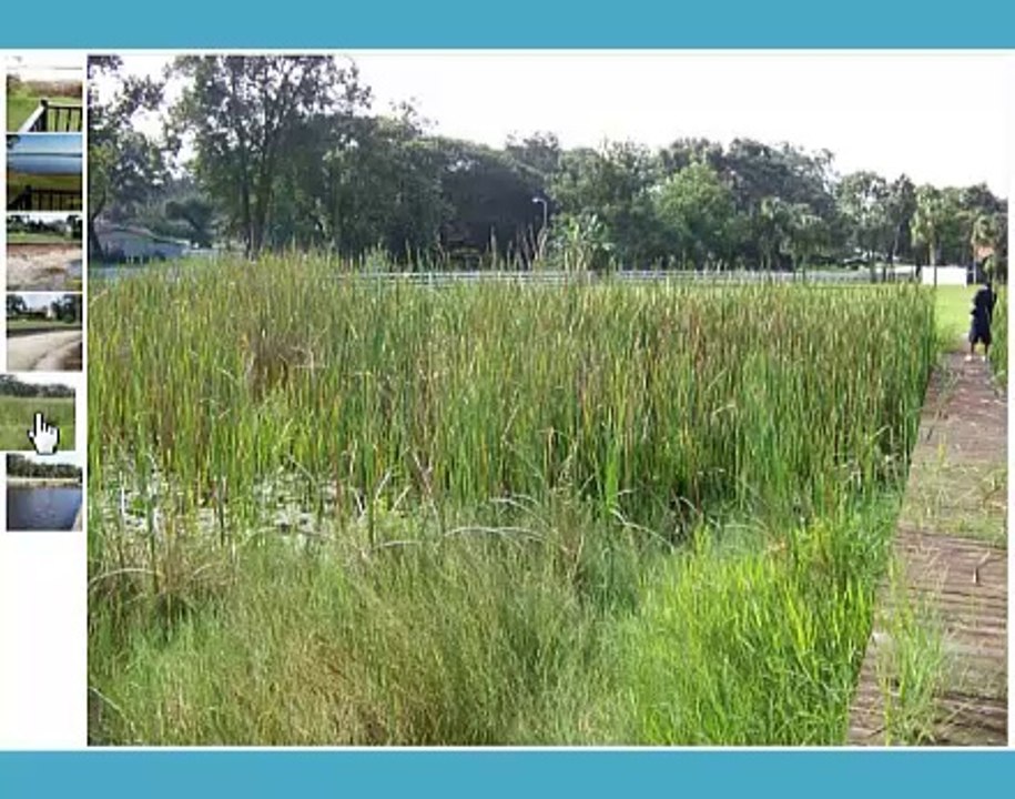 How to control lake shore weeds and clean a beach