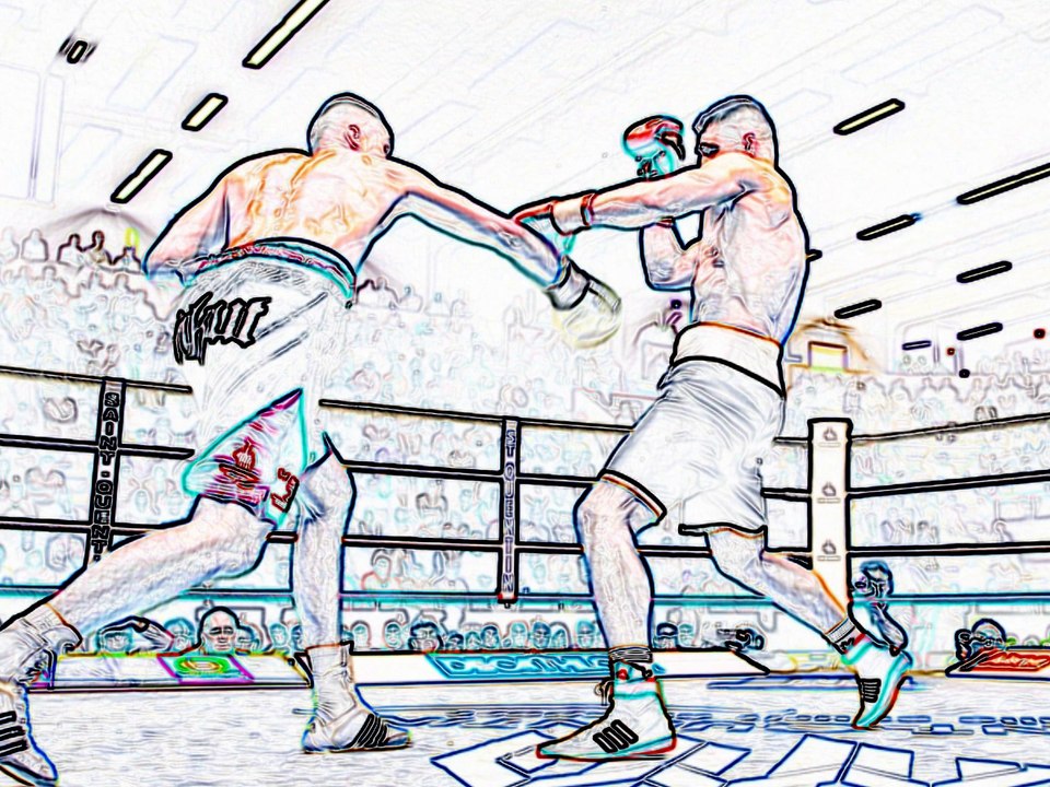 TONY AVERLANT CHAMPION WBF