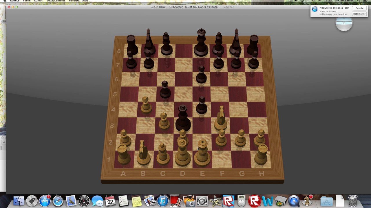 jeu d'échecs ou on perd