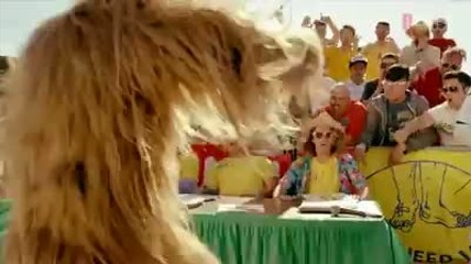 Chewbacca et Star Wars s'invitent à un contest de skate