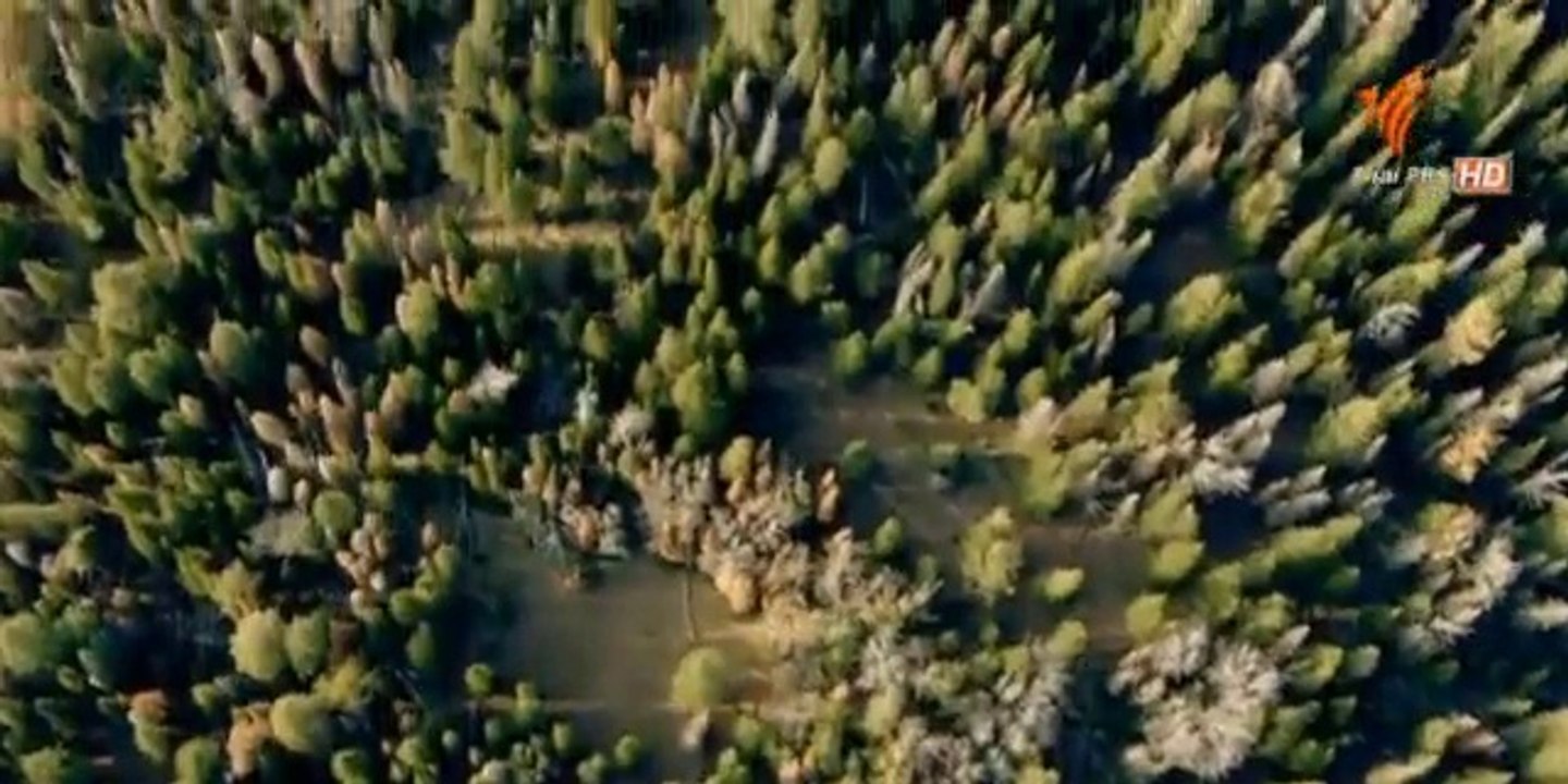 ยักษ์ใหญ่ยุคน้ำแข็ง - ดินแดนสุดท้าย 7May14