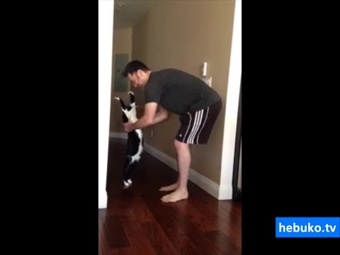 hadi gel, sarıl bana insancık