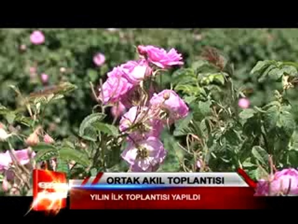 ortak akıl toplantısı 01 26