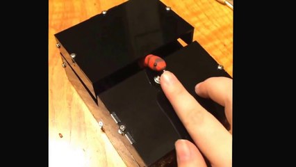 Mister Milk Snake Doesn't Want To Come Out of the Useless Box