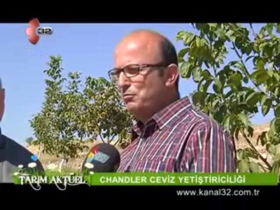 Ceviz Yetiştiriciliği ...
