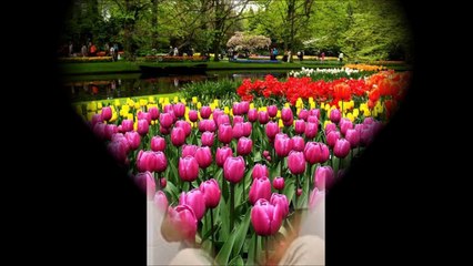 RAGIP NAİLE SARAÇ ANAOKULU PALYAÇOLAR SINIFI