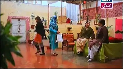 Behnein Aisi Bhi Hoti Hain Episode 13 Full on ARY Zindagi 5th May 2014
