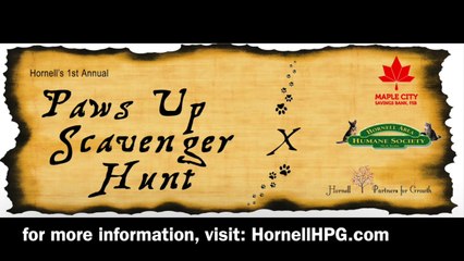 Hornell Scavenger Hunt May 2014